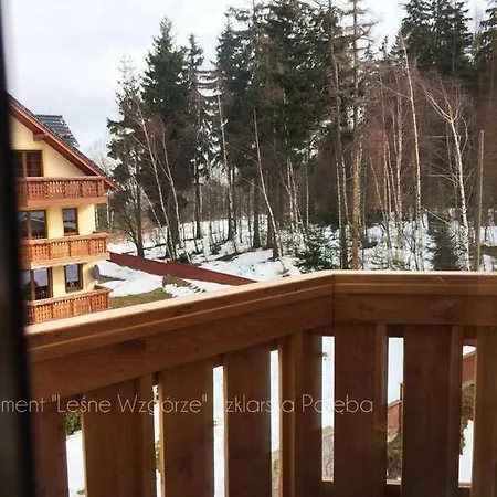 Apartment Lesne Wzgorze